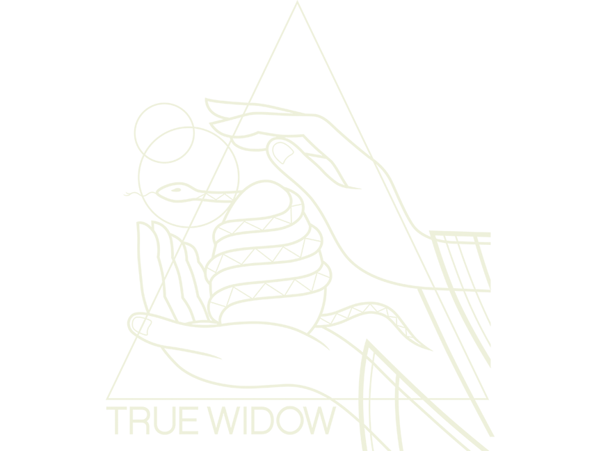 True Widow Shirt Killer