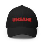 UNSANE Logo Embroidered Hat