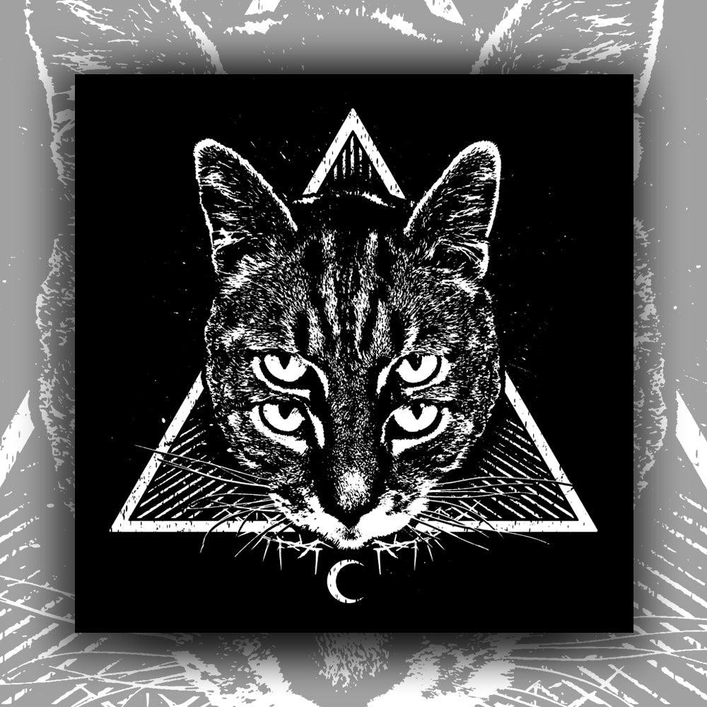 CAT MAGIC PUNKS Four Eyes Poster – Shirt Killer