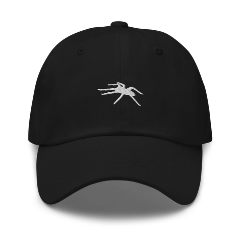 SLINT Spider Embroidered Hat